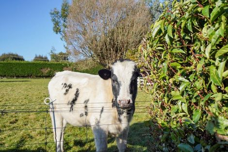 Photo of property in 213 West Plains School Road, West Plains, Invercargill, 9874