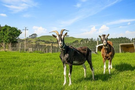 Photo of property in 2712 South Head Road, South Head, Helensville, 0874