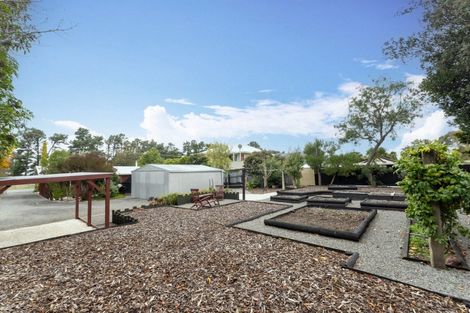 Photo of property in 307 Rarangi Beach Road, Rarangi, Blenheim, 7273