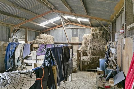 Photo of property in 29 Platt Road, Newstead, Hamilton, 3287