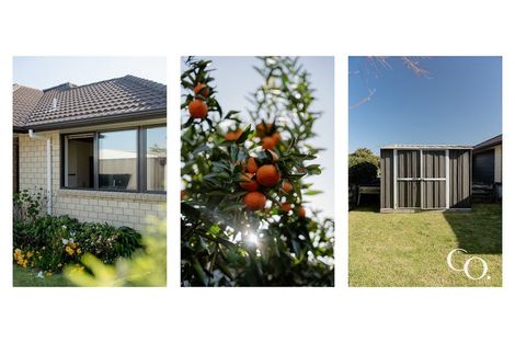 Photo of property in 21 Galloway Crescent, Pyes Pa, Tauranga, 3112