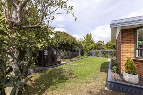 Photo of property in 23 Tereice Street, Witherlea, Blenheim, 7201