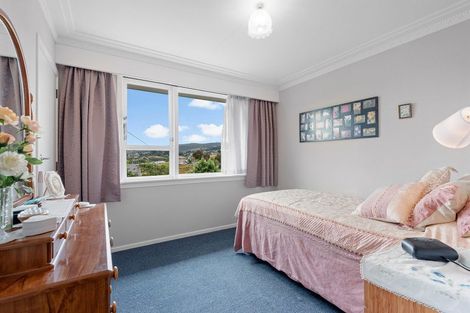 Photo of property in 51 Elwyn Crescent, Green Island, Dunedin, 9018