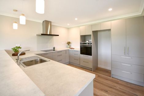 Photo of property in Willowfield Development, 1-20/78a Formby Street, Outram, 9019