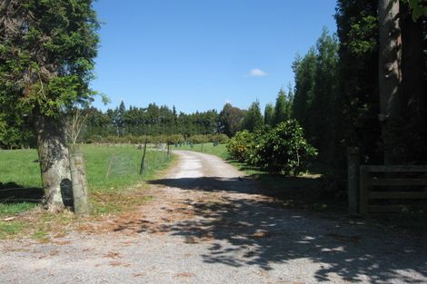 Photo of property in 88 Jess Road, Whakamarama, Tauranga, 3172