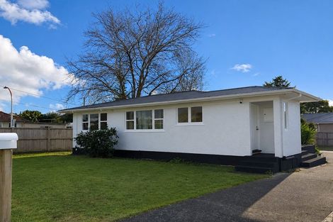 Photo of property in 28 Birdwood Road, Pukekohe, 2120