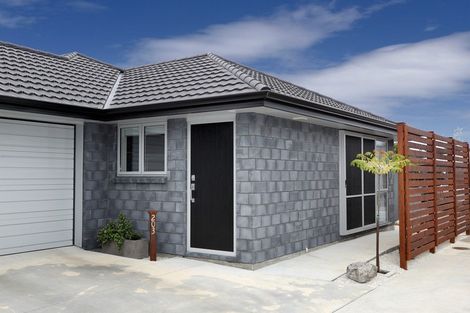 Photo of property in 203 Hapuka Street, Frimley, Hastings, 4120