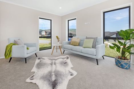 Photo of property in 123 John Burke Drive, Aotea, Porirua, 5024