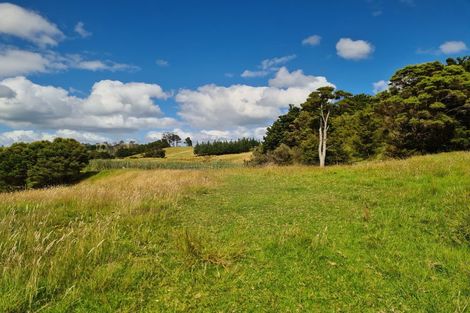 Photo of property in 304 Arapaoa Road, Tinopai, Matakohe, 0593