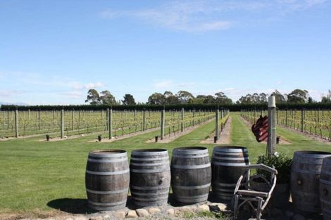 Photo of property in 22 Laings Road, Tinwald, Ashburton, 7775