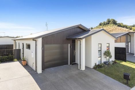 Photo of property in 14 Eden Crescent, Brookfield, Tauranga, 3110
