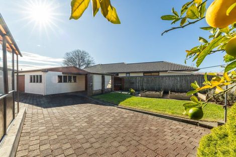 Photo of property in 16 Palmer Place, Parkvale, Hastings, 4122