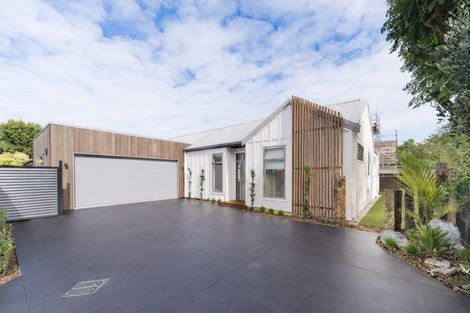 Photo of property in 117a Te Awe Awe Street, Hokowhitu, Palmerston North, 4410