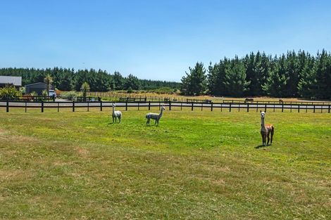 Photo of property in 5 Waka Tete Place, Waitarere, Levin, 5510