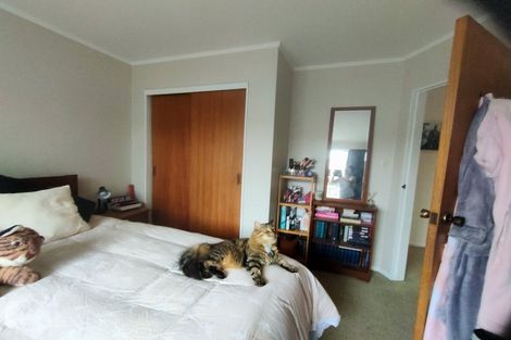 Photo of property in 1/175 Mitchell Street, Brooklyn, Wellington, 6021