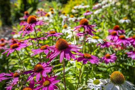 Photo of property in 25 Glen Road, Raumati South, Paraparaumu, 5032