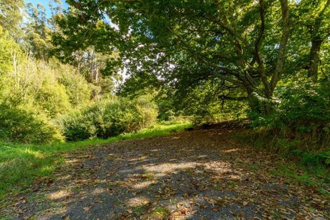 Photo of property in 125 Boscabel Drive, Ohauiti, Tauranga, 3112