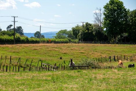 Photo of property in 49 Dalbeth Road, Hamurana, Rotorua, 3072