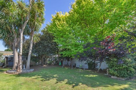 Photo of property in 7 Ascot Street, Levin, 5510