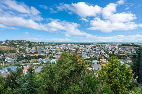 Photo of property in 78 Moana Crescent, Musselburgh, Dunedin, 9013