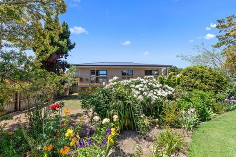 Photo of property in 68b James Street, Whakatane, 3120