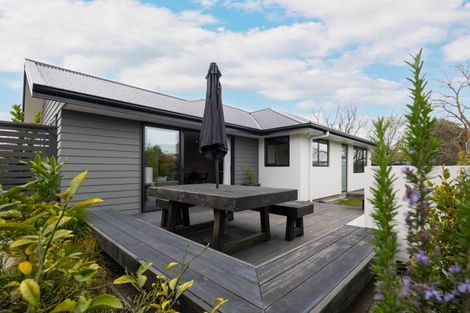 Photo of property in 9a Monckton Street, Feilding, 4702