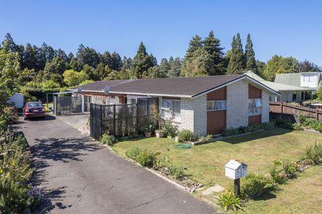 Photo of property in 17a Tui Place, Katikati, 3129