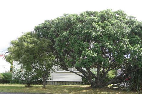 Photo of property in 99 Titirangi Road, New Lynn, Auckland, 0600