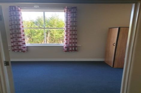 Photo of property in 32 Pascal Street, Palmerston North, 4410