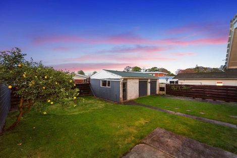 Photo of property in 21 Wake Street, Chartwell, Hamilton, 3210