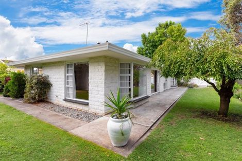 Photo of property in 48 Dillon Street, Blenheim, 7201