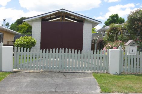 Photo of property in 3 Trewin Street, Feilding, 4702