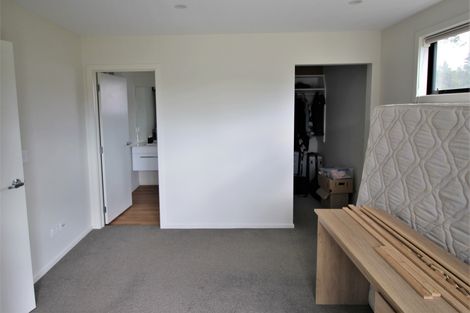 Photo of property in 13 Brooke Place, Alexandra, 9320