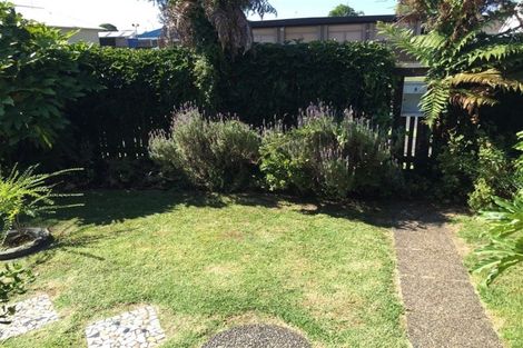 Photo of property in 52a Third Avenue, Tauranga, 3110