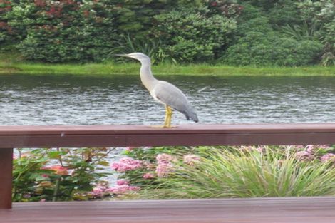 Photo of property in 81 Awatea Avenue, Paraparaumu, 5032