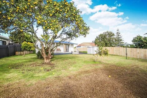 Photo of property in 17 Beatrix Street, Avondale, Auckland, 1026
