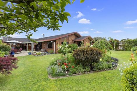 Photo of property in 20 Stirling Drive, Morrinsville, 3300