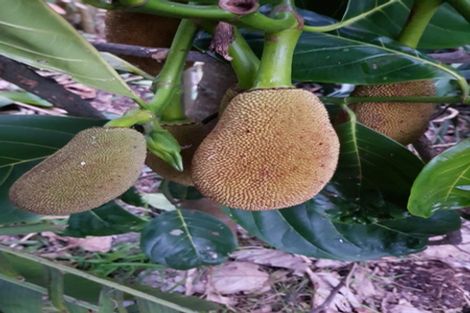 Photo of property in 656 One Tree Point Road, Ruakaka, Whangarei, 0171