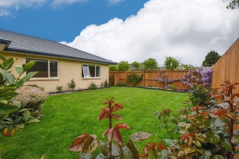 Photo of property in 3a Madison Street, Carterton, 5713