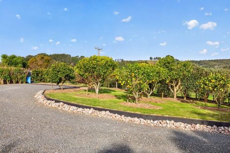 Photo of property in 157e Kaiate Falls Road, Waitao, Tauranga, 3175