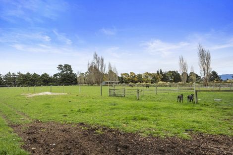 Photo of property in 176 Amberley Beach Road, Amberley, 7481