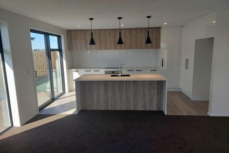 Photo of property in 17 Sarah Nicholls Street, Belfast, Christchurch, 8051