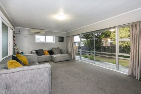 Photo of property in 38 Freyberg Avenue, Tamatea, Napier, 4112