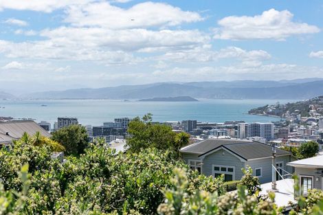 Photo of property in 44 Mortimer Terrace, Aro Valley, Wellington, 6021