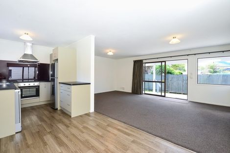 Photo of property in 4a Saint Lukes Place, Bader, Hamilton, 3206