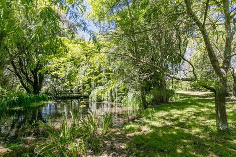 Photo of property in Tradgard, 158 Shanley Road, Crownthorpe, Hastings, 4179