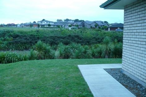 Photo of property in 16 Aufidius Place, Pukekohe, 2120