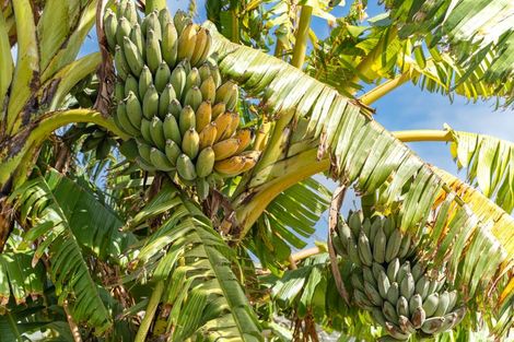 Photo of property in 4 Mali Street, Dargaville, 0310