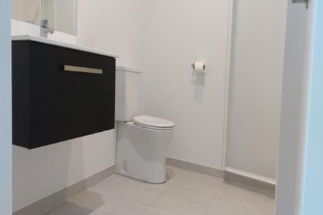 Photo of property in 2 Sacred Kingfisher Road, Hobsonville, Auckland, 0616