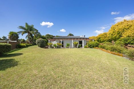 Photo of property in 41 Sunny Crescent, Huapai, Kumeu, 0810